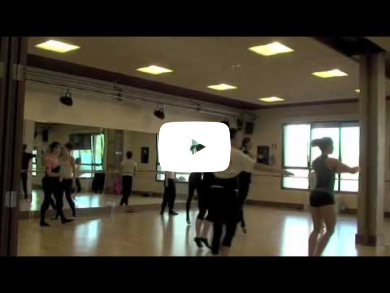 Reproducir video